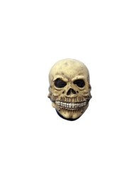 Calavera junior