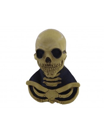 Long neck skull