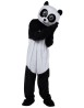 Panda kawaii