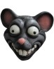 Rat