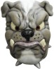Bulldog