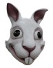 Conejo