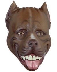 Pitbull