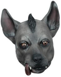 Xolo