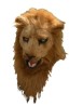 Lion moving mouth