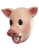 Squeaky Pig