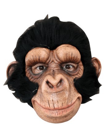 Chimp George