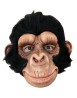Chimp George
