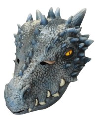 Winter dragon