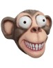 Chimp