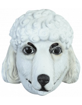 French poodle