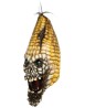 Evil Corn