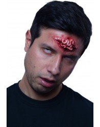 Brains
