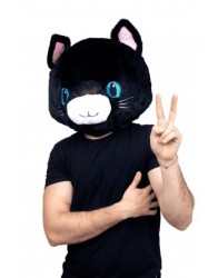 Gato Kawaii