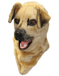 Dog moving mouth