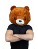 Teddy Kawaii