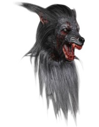Black wolf