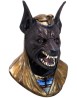 Anubis