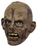 Undead Jr.