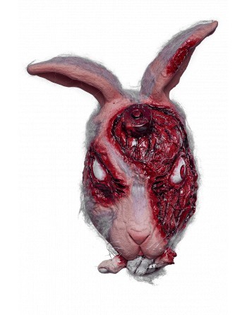Lab Bunny R.T. 087