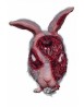 Lab Bunny R.T. 087