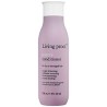 RESTORE CONDITIONER