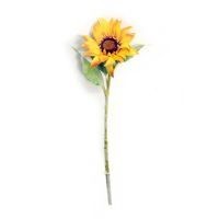 Girasol amarillo