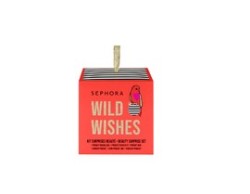 KIT SURPRISE MAKE UP WILD WISHES