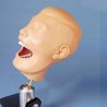 Simulador Dental