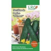 Semillas de pepino