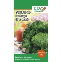 Semillas de lechuga