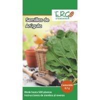 Semillas de arúgula