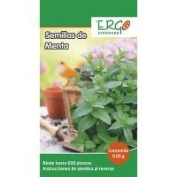 Semillas de menta