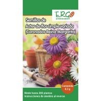 Semillas de aster flor simple variada