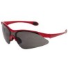 Lentes de seguridad Eclipse oscuros