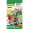 Semillas de epazote verde