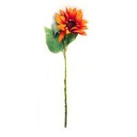 Girasol naranja
