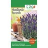 Semillas de lavanda