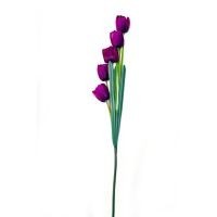 Vara de tulipán morado
