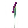 Vara de tulipán morado