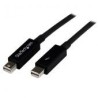 Cable 2M Thunderbolt Macho A  Macho Thunder Bolt Startech Tboltmm2M