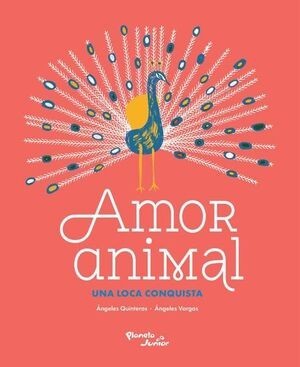 AMOR ANIMAL