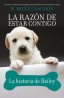 La razón de estar contigo