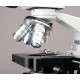 MICROSCOPIO BINOCULAR COMPUESTO 40X - 2000X - AMSCOPE