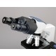 MICROSCOPIO BINOCULAR COMPUESTO 40X - 2000X - AMSCOPE