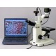 CÁMARA DIGITAL PARA MICROSCOPIO 8MP USB2.0 SOFTWARE - AMSCOPE