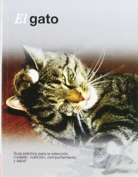 El Gato