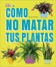 Cómo no Matar tus Plantas: Consejos y Cuidados Para que tus Plantas de Interior Sobrevivan