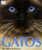 Gatos