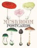 Mushroom Postcards